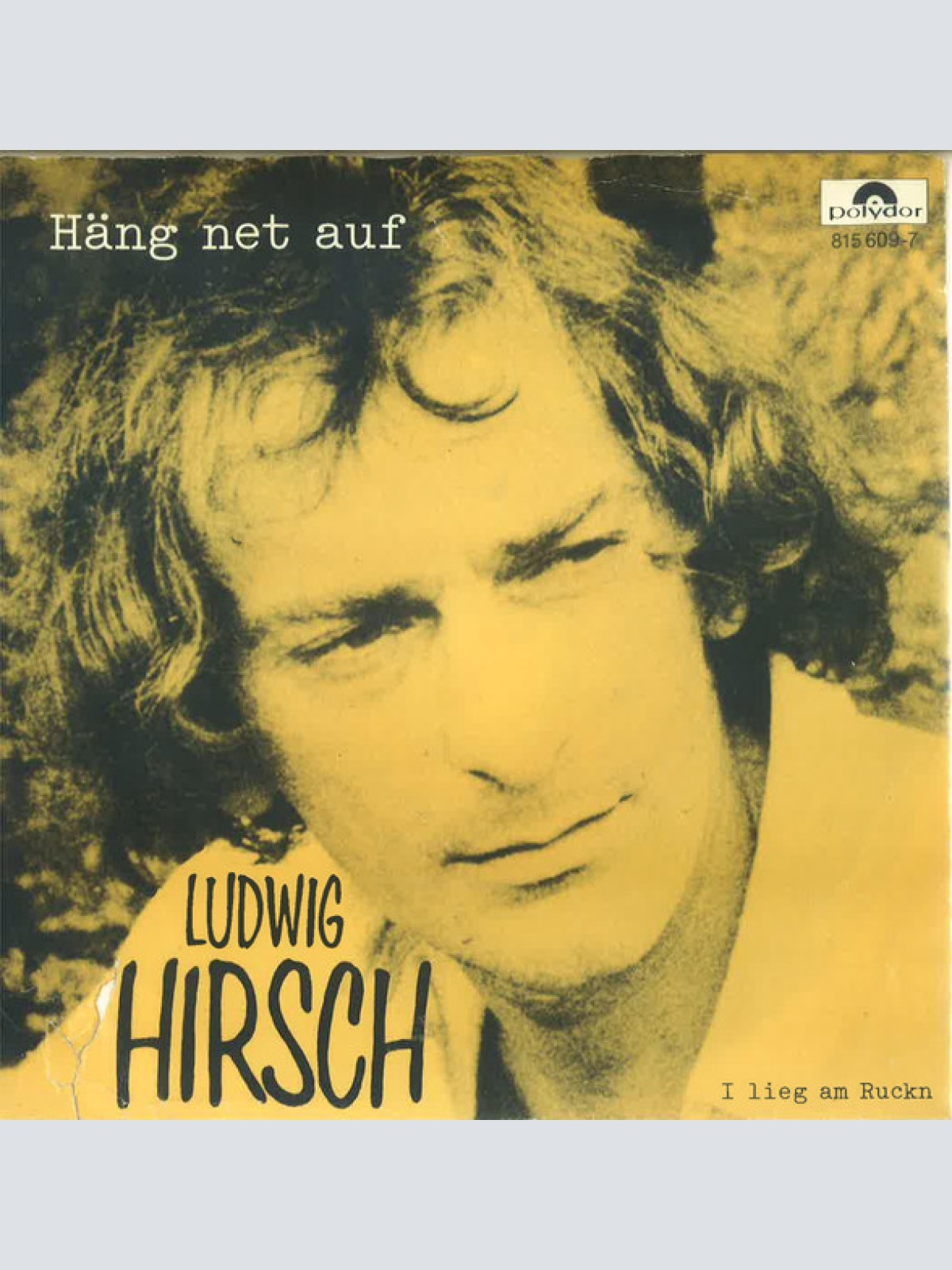 Vinyl / Ludwig Hirsch - Häng Net Auf