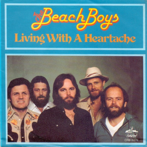 Vinyl / The Beach Boys - Living With A Heartache