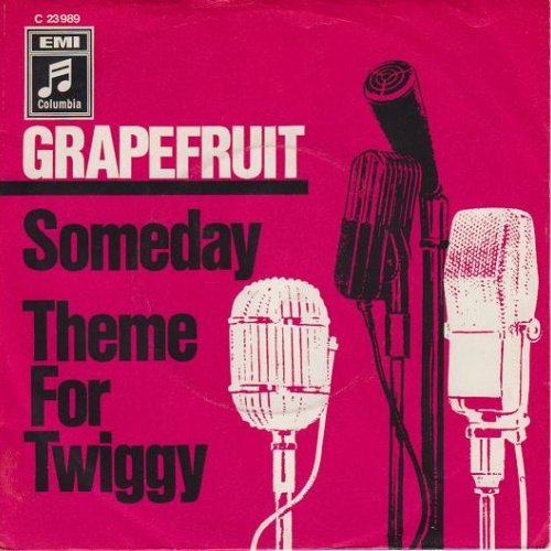 Vinyl / Grapefruit - Someday / Theme For Twiggy