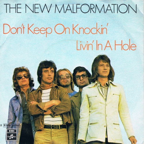 Vinyl / The New Malformation* - Don't Keep On Knockin' / Livin' In A Hole