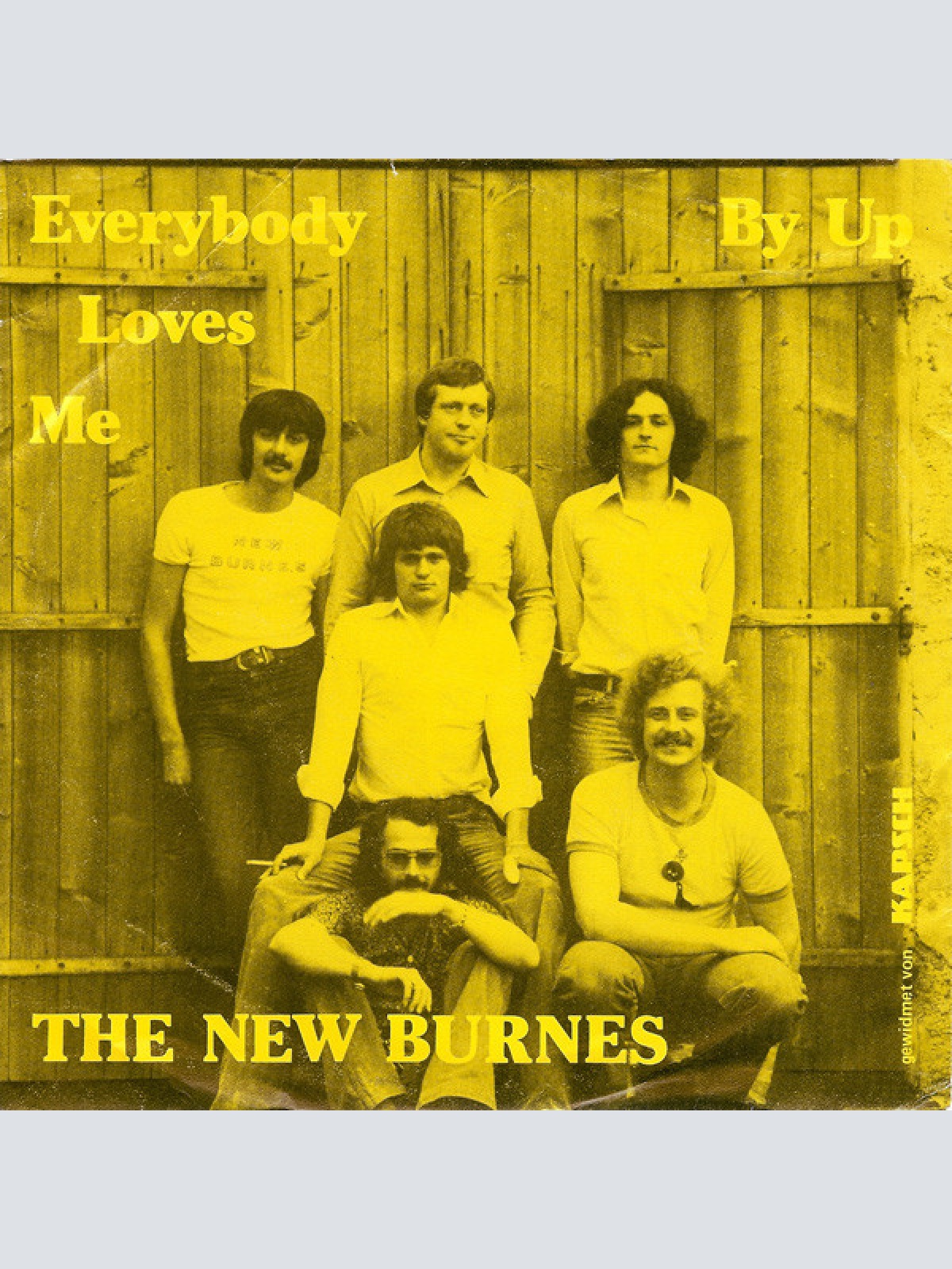 Vinyl / The New Burnes - Everybody Loves Me / By Up