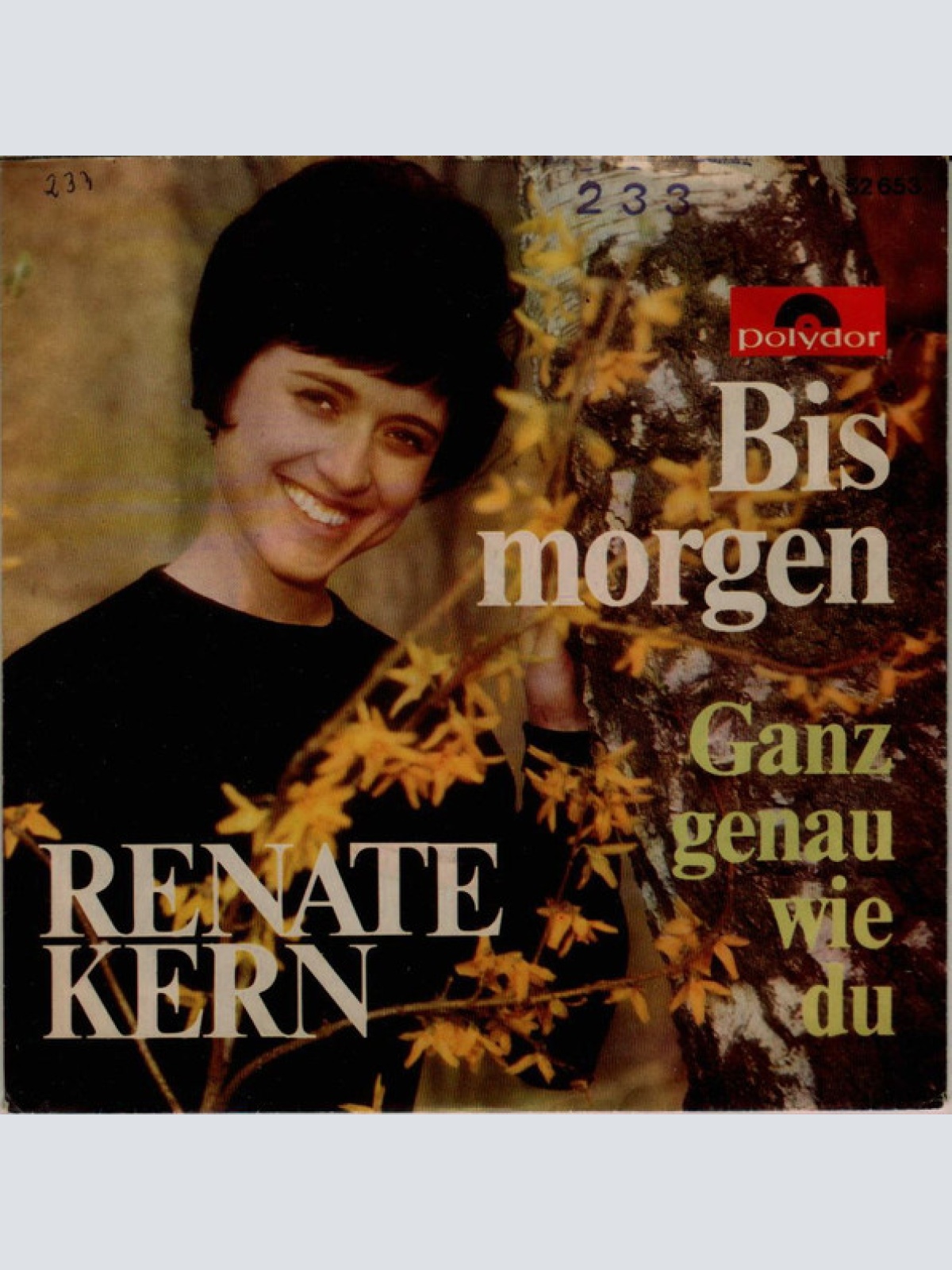 Vinyl / Renate Kern - Bis Morgen