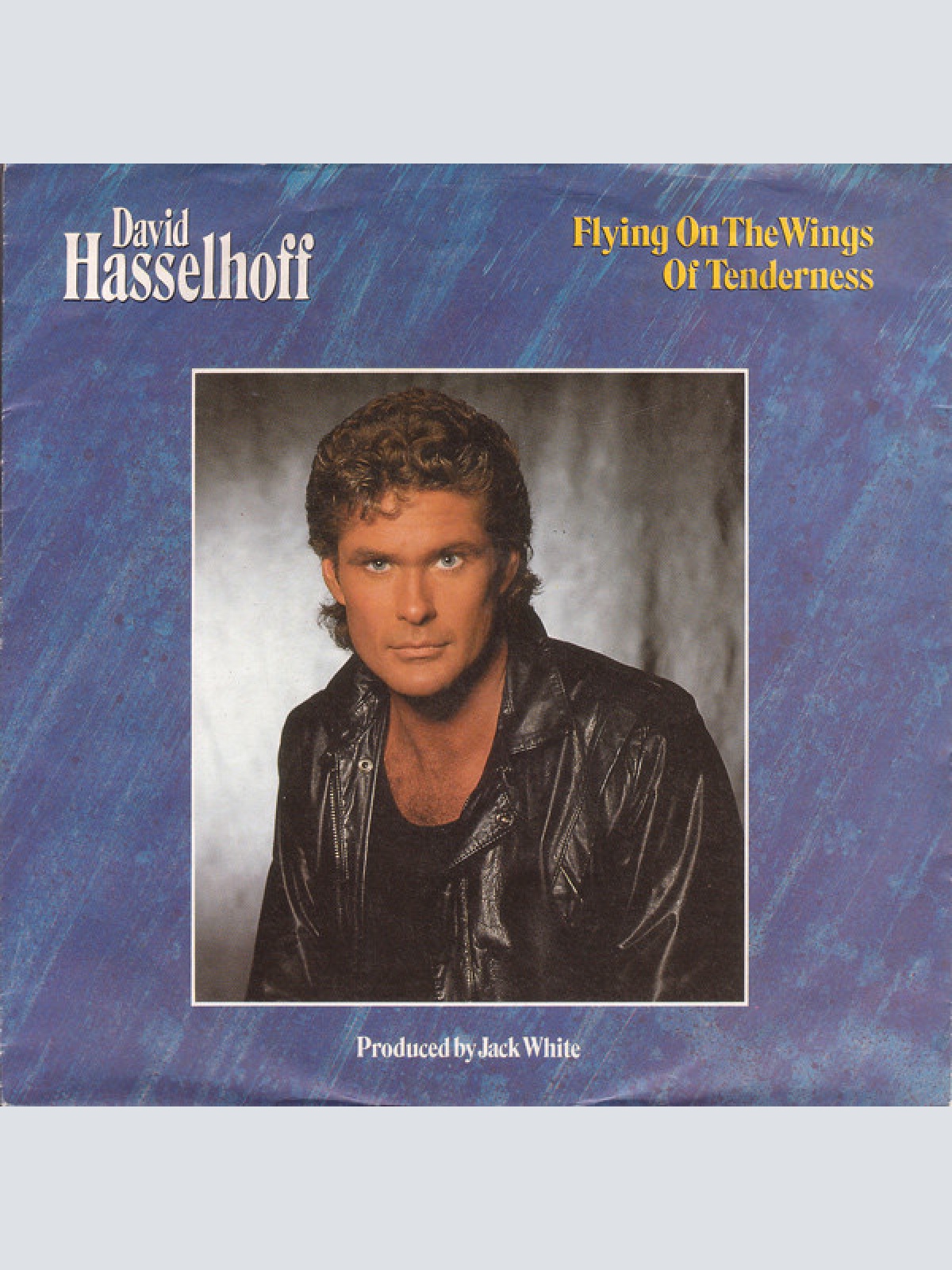 Vinyl / David Hasselhoff - Flying On The Wings Of Tenderness