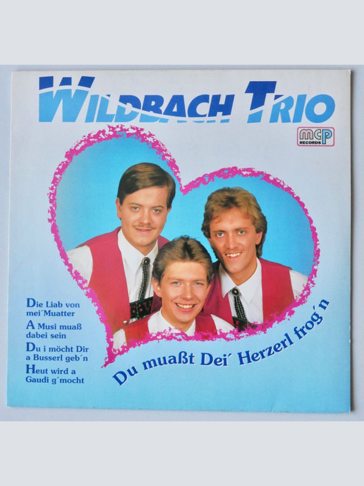 Vinyl / Wildbach Trio - Du Muasst Dei' Herzerl Frog'n