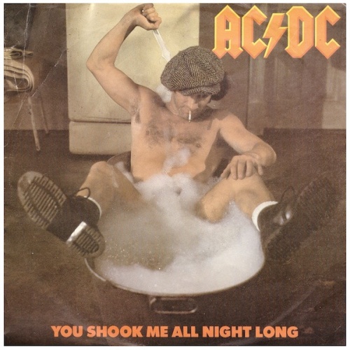 Vinyl / AC/DC - You Shook Me All Night Long