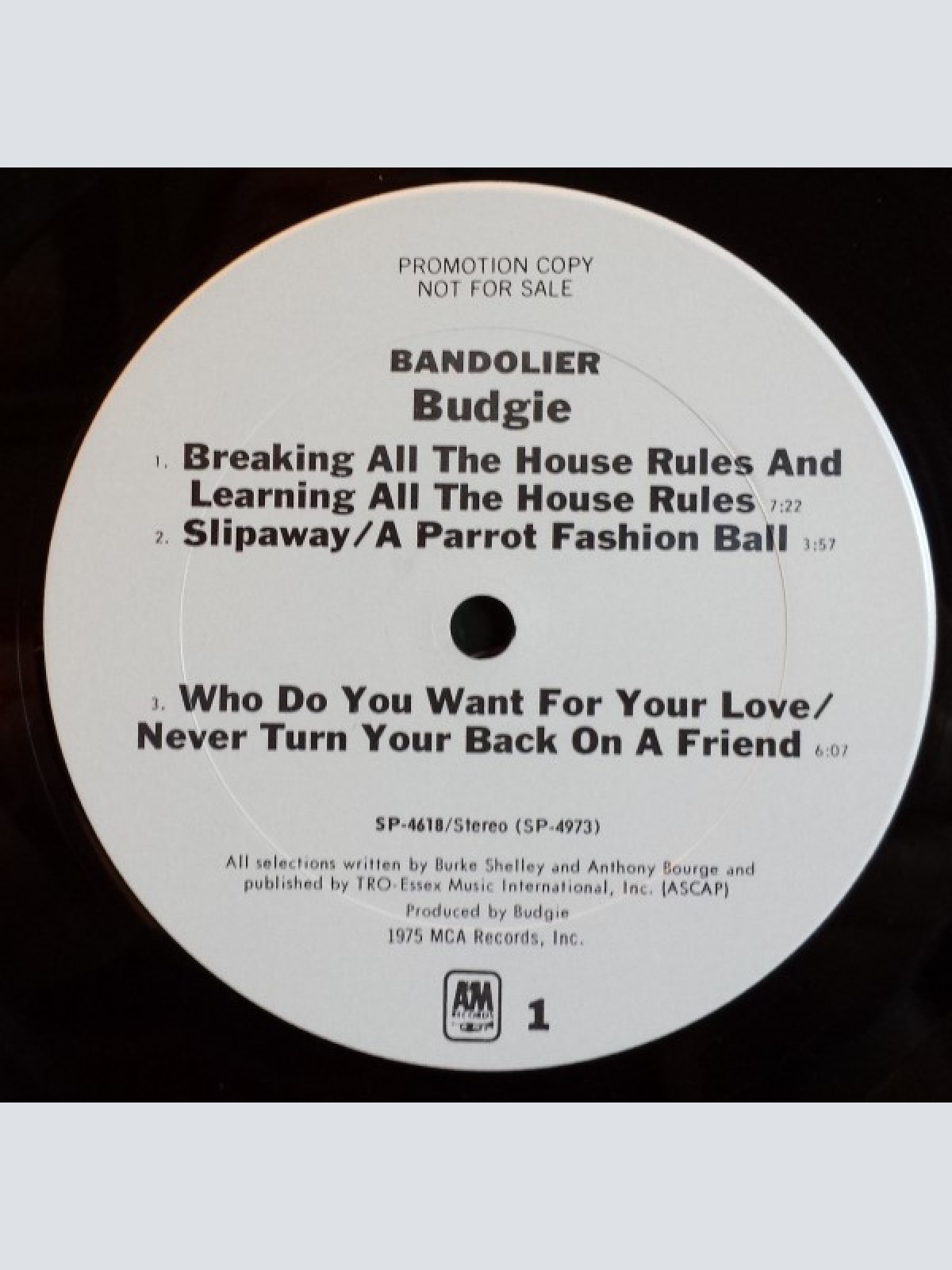 Vinyl / Budgie - Bandolier