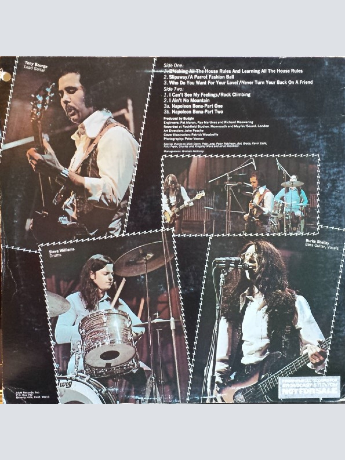 Vinyl / Budgie - Bandolier