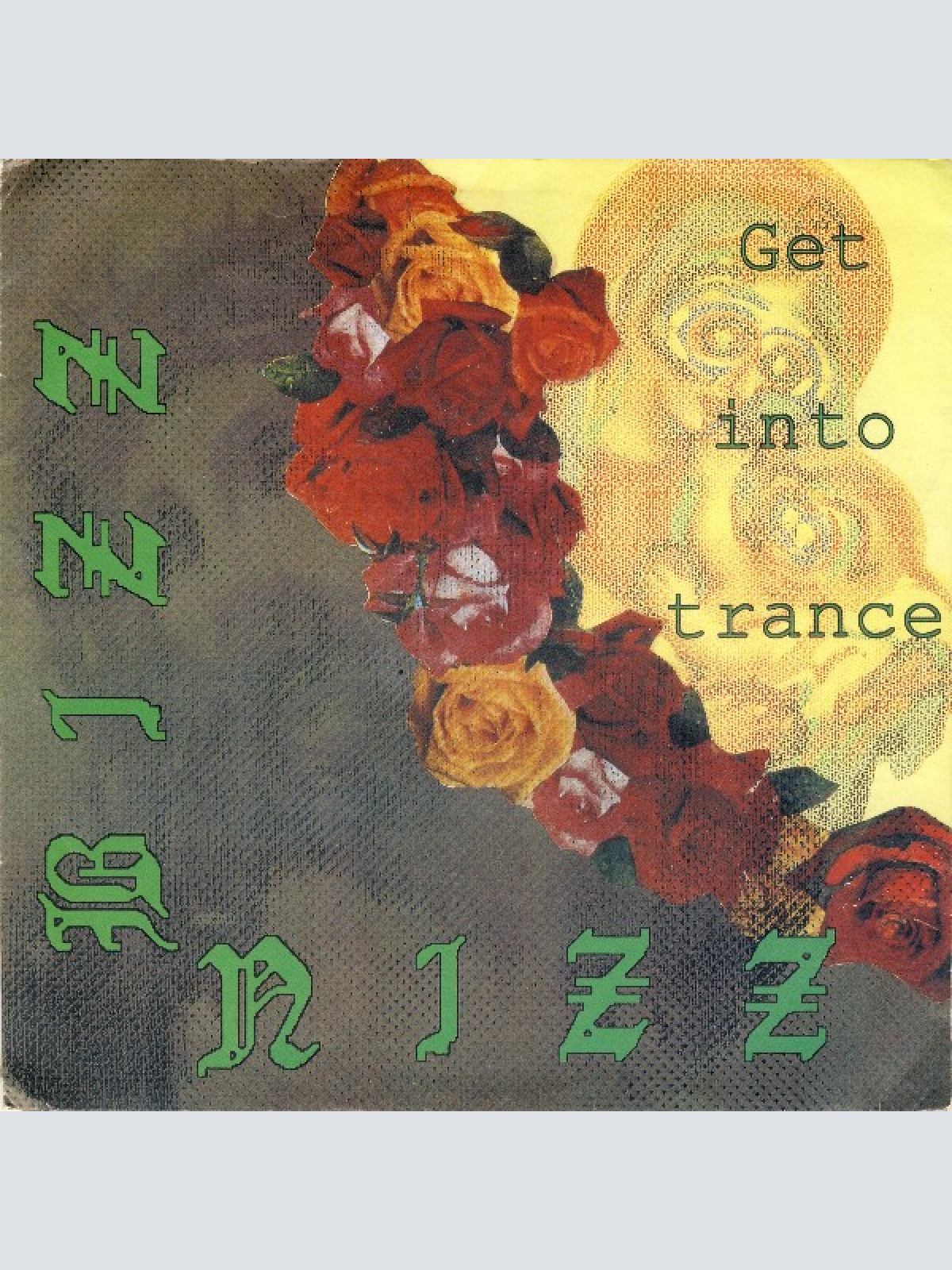 Vinyl / Bizz Nizz - Get Into Trance