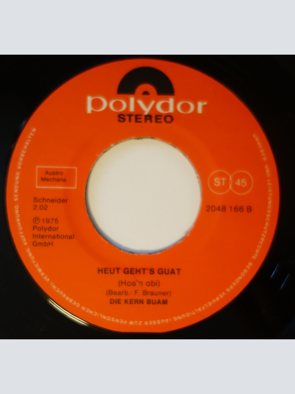 Vinyl / Die Kern Buam - San Alle Da