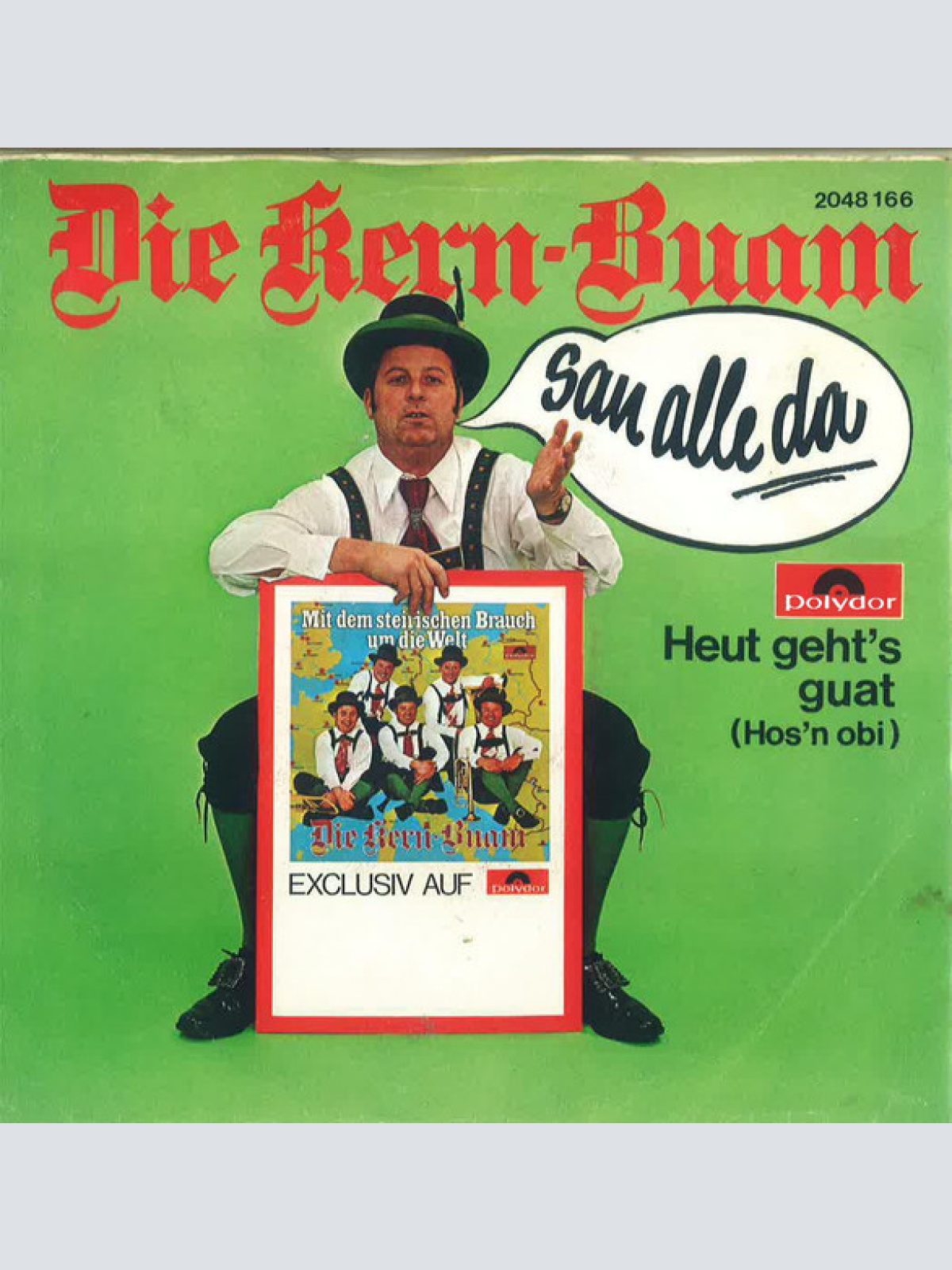 Vinyl / Die Kern Buam - San Alle Da