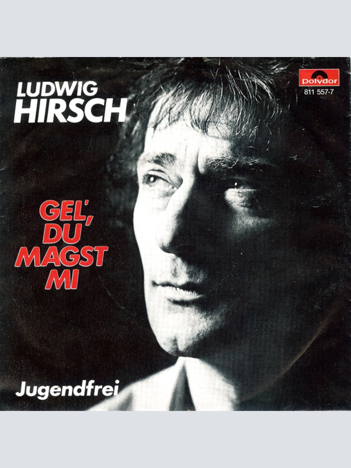 Vinyl / Ludwig Hirsch - Gel', Du Magst Mi