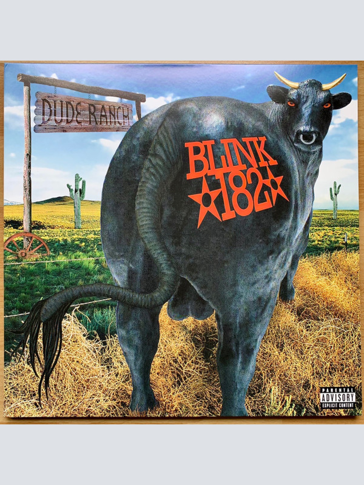 Vinyl / Blink 182* - Dude Ranch