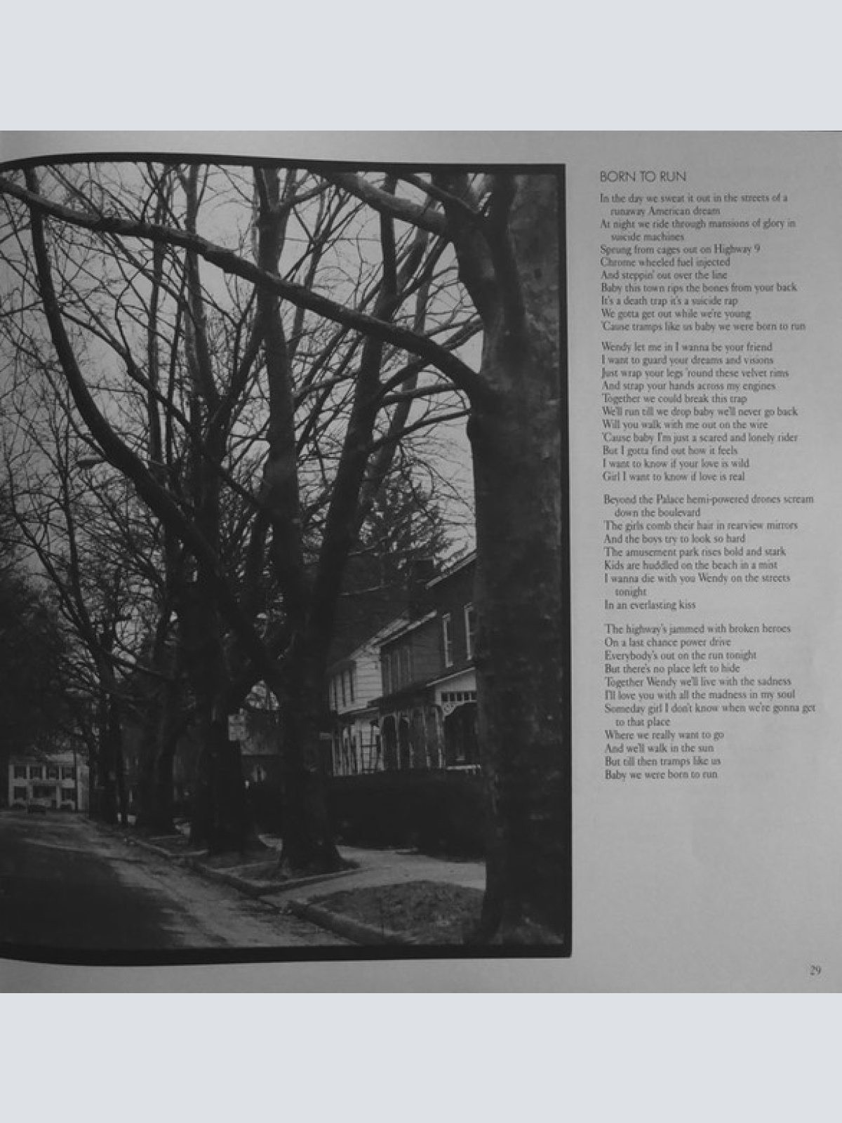 Vinyl / Bruce Springsteen & The E Street Band* - Live/1975-85