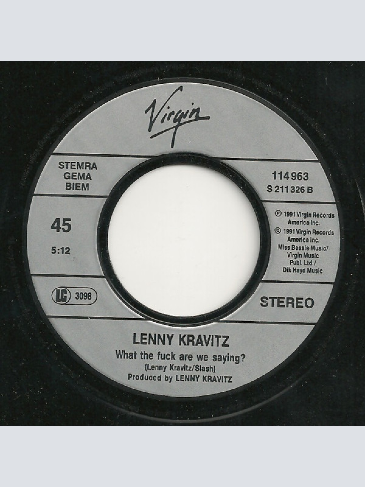Vinyl / Lenny Kravitz - What The Fuck Are We Saying?