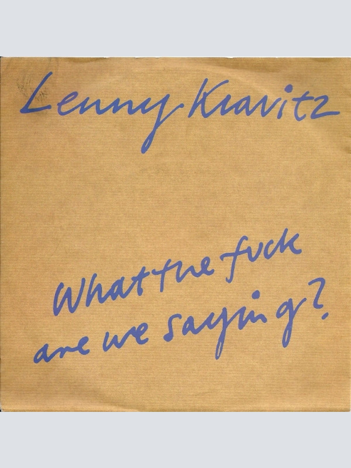 Vinyl / Lenny Kravitz - What The Fuck Are We Saying?