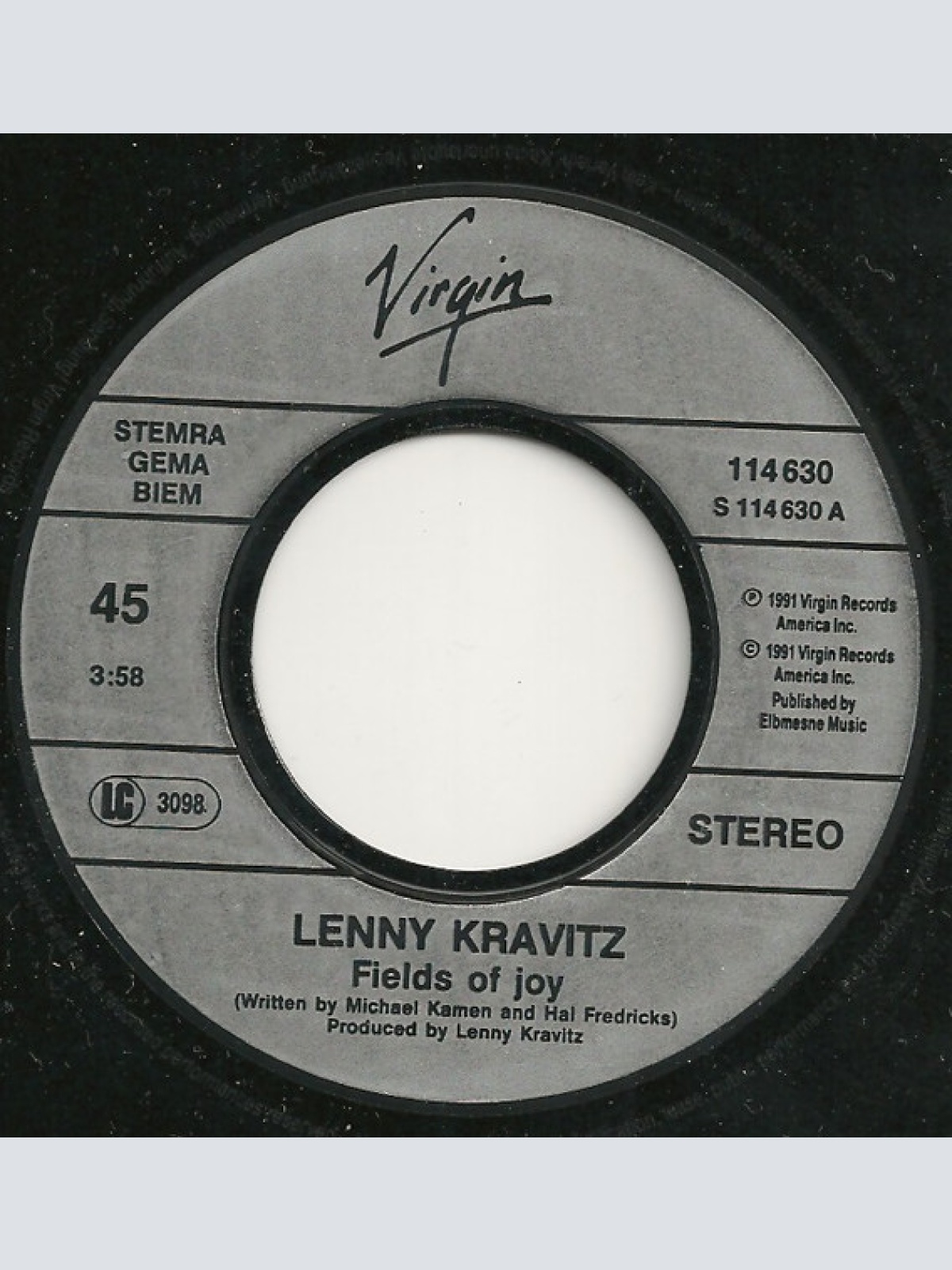 Vinyl / Lenny Kravitz - Fields Of Joy