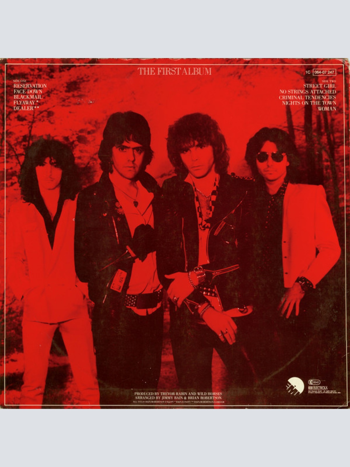 Vinyl / Wild Horses - The First Album