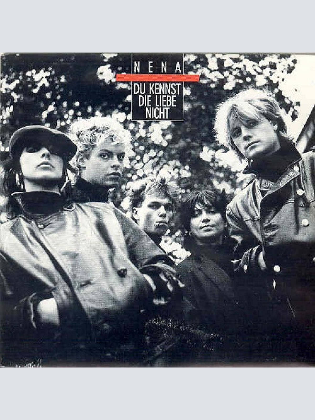 Vinyl / Nena - Du Kennst Die Liebe Nicht
