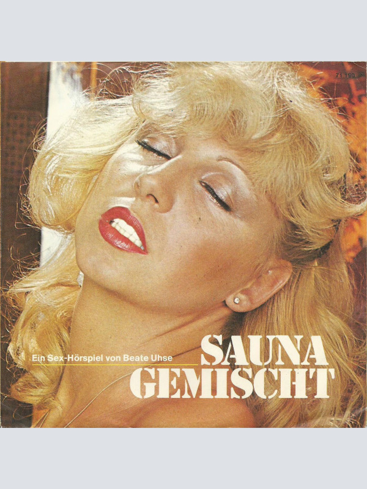 Vinyl / Unknown Artist - Sauna Gemischt