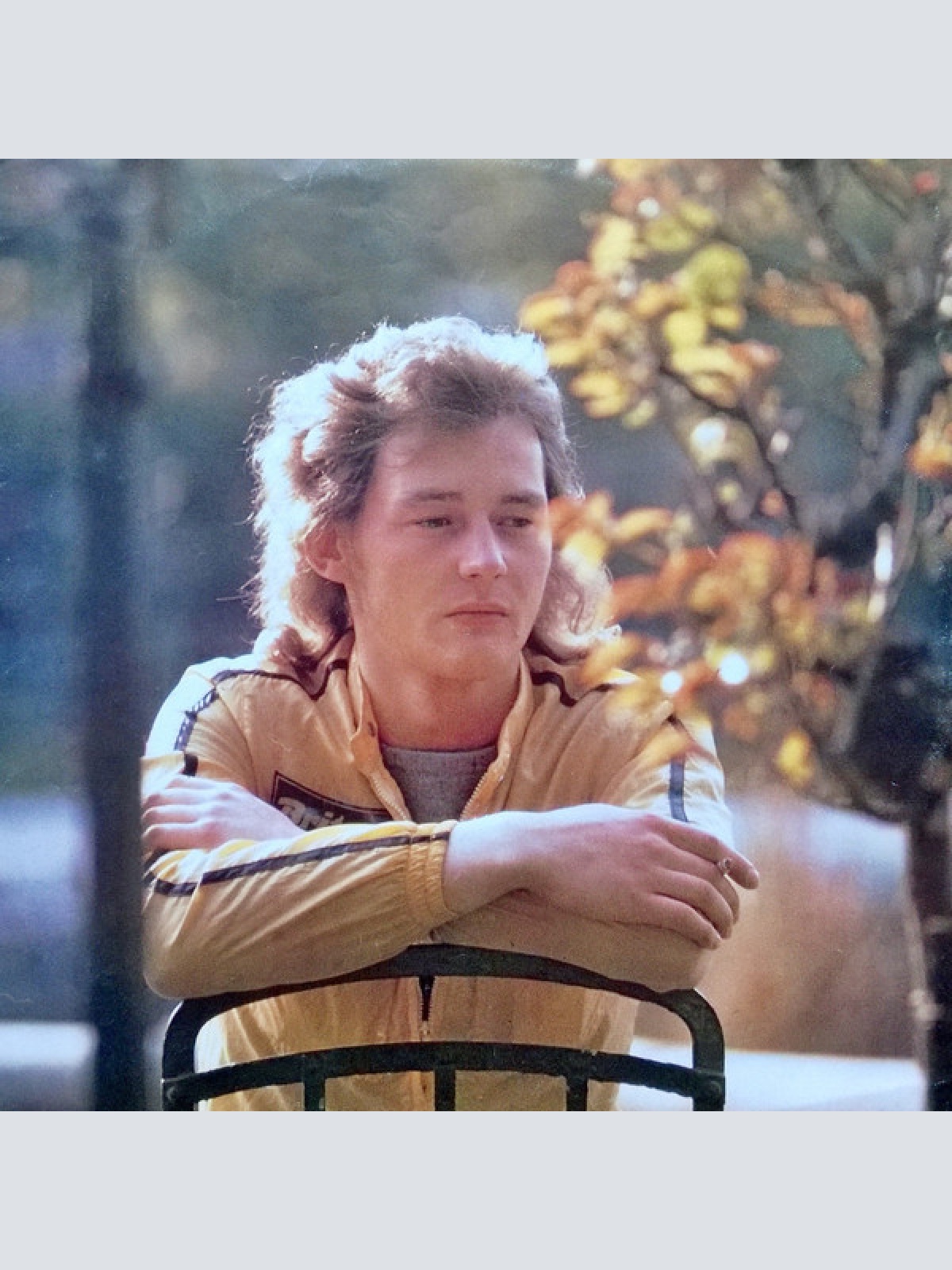 Vinyl / W. Ambros* - Es Lebe Der Zentralfriedhof