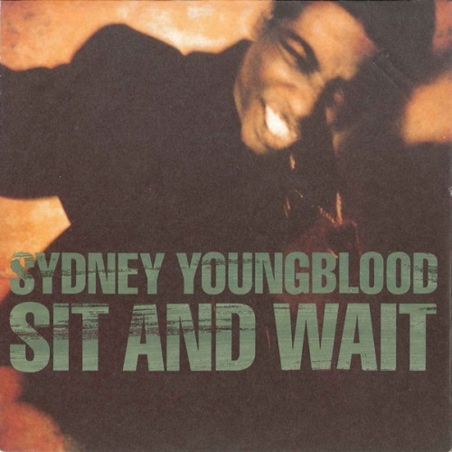 Vinyl / Sydney Youngblood - Sit And Wait