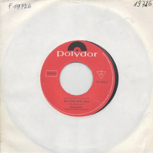 Vinyl / Ben Martin (29) - Allein Wie ich