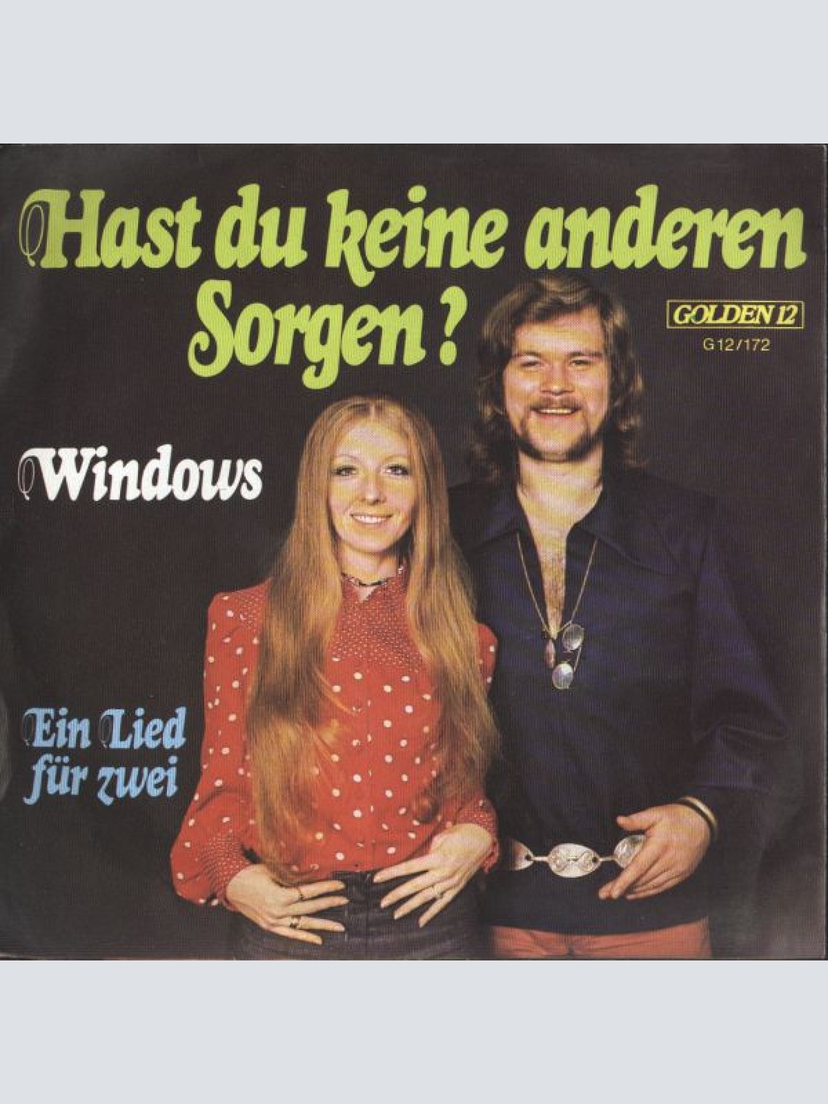 Vinyl / Windows (2) - Hast Du Keine Anderen Sorgen?