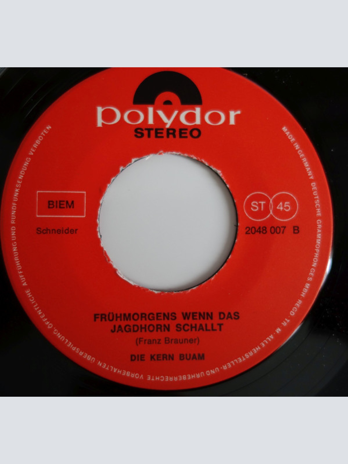 Vinyl / Die Kern Buam - Gurken-Polka