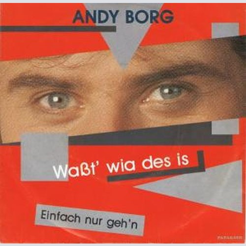 Vinyl / Andy Borg - Waßt' Wia Des Is