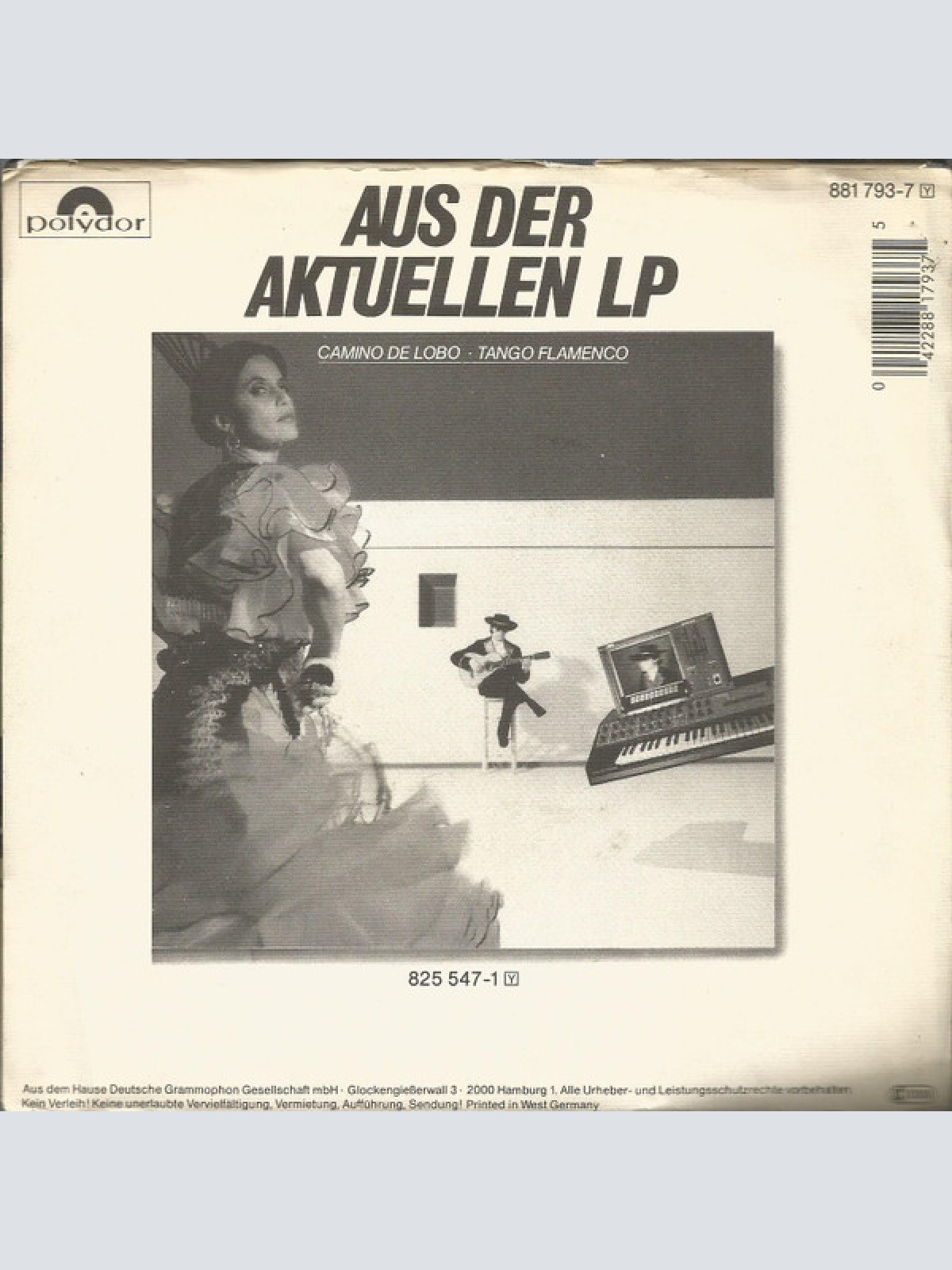 Vinyl / Camino De Lobo - Tango Flamenco