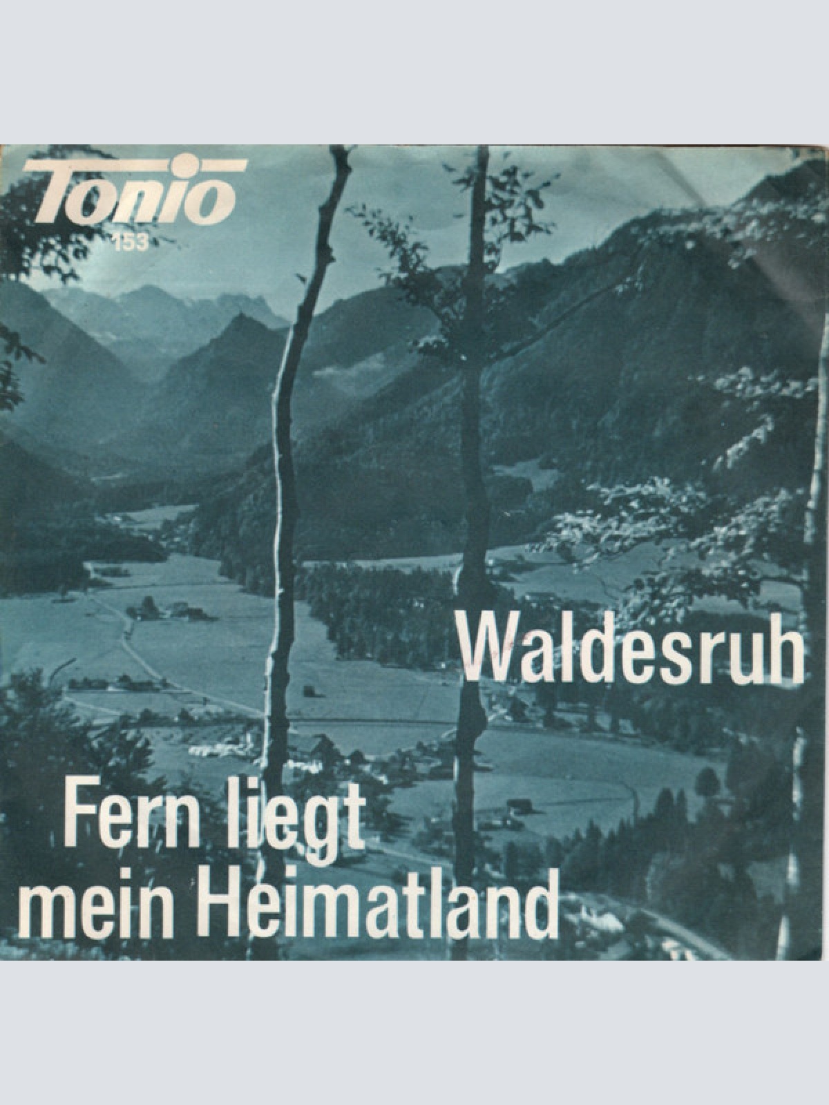 Vinyl / Das Messner Trio / Das Sagner Trio - Waldesruh / Fern Liegt Mein Heimatland