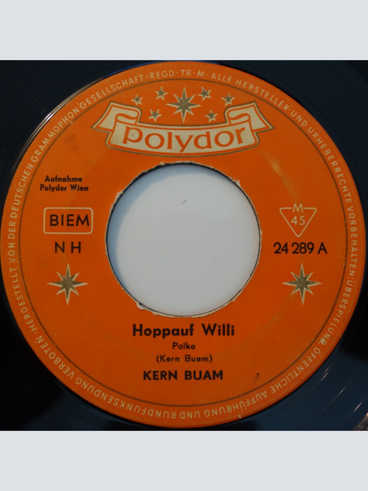 Vinyl / Die Kern Buam - Hoppauf Willi