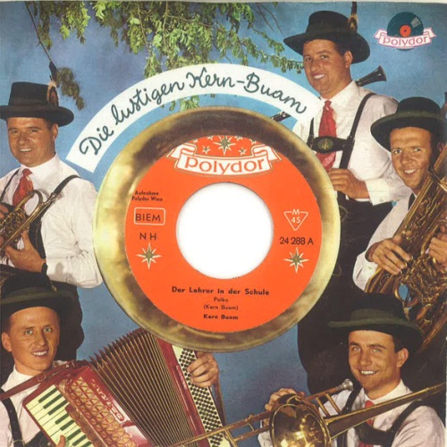 Vinyl / Kern Buam* - Der Lehrer In Der Schule