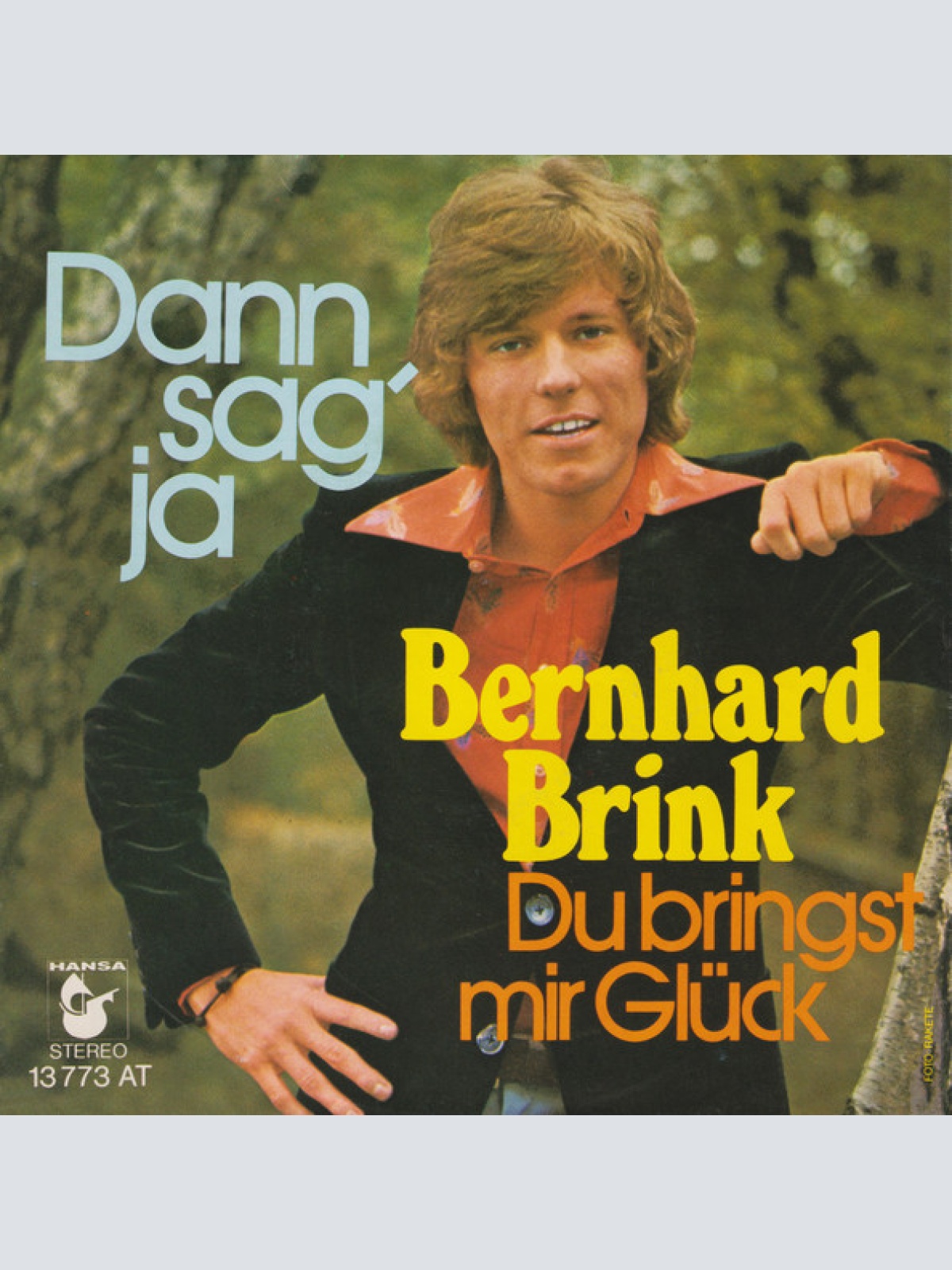 Vinyl / Bernhard Brink - Dann Sag' Ja