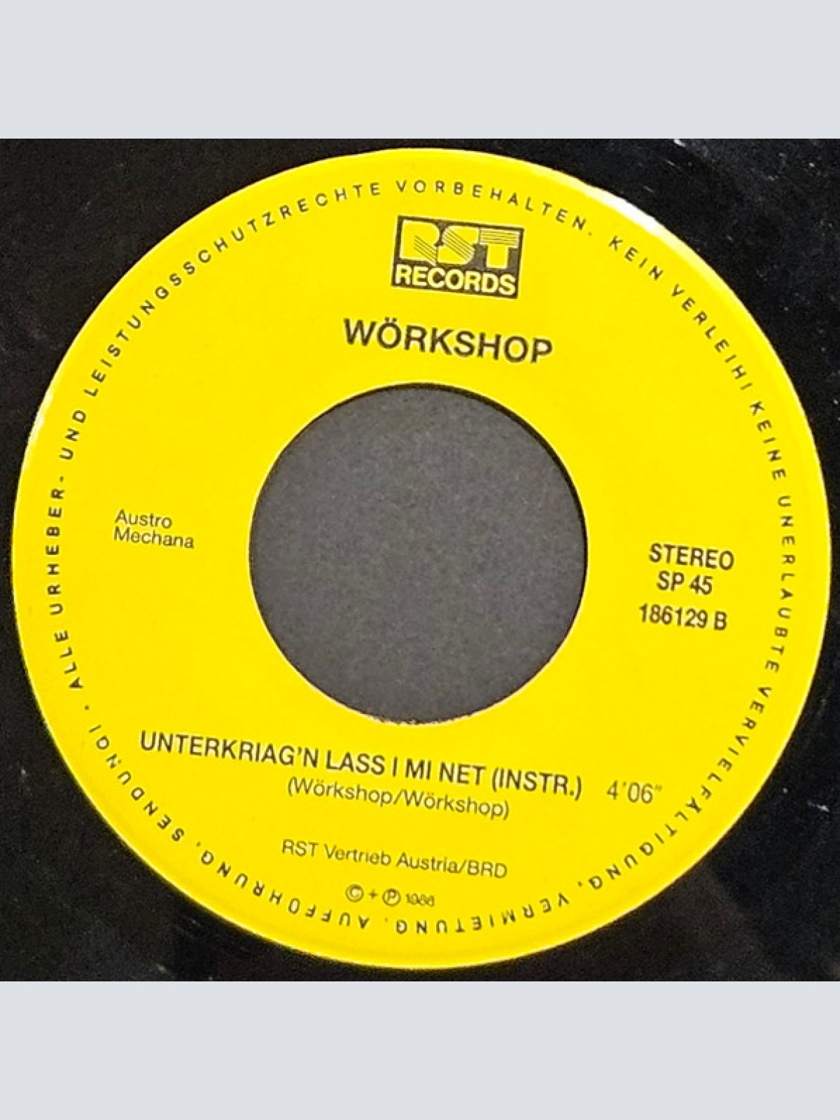 Vinyl / Wörkshop - Unterkriag'n Lass I Mi Net