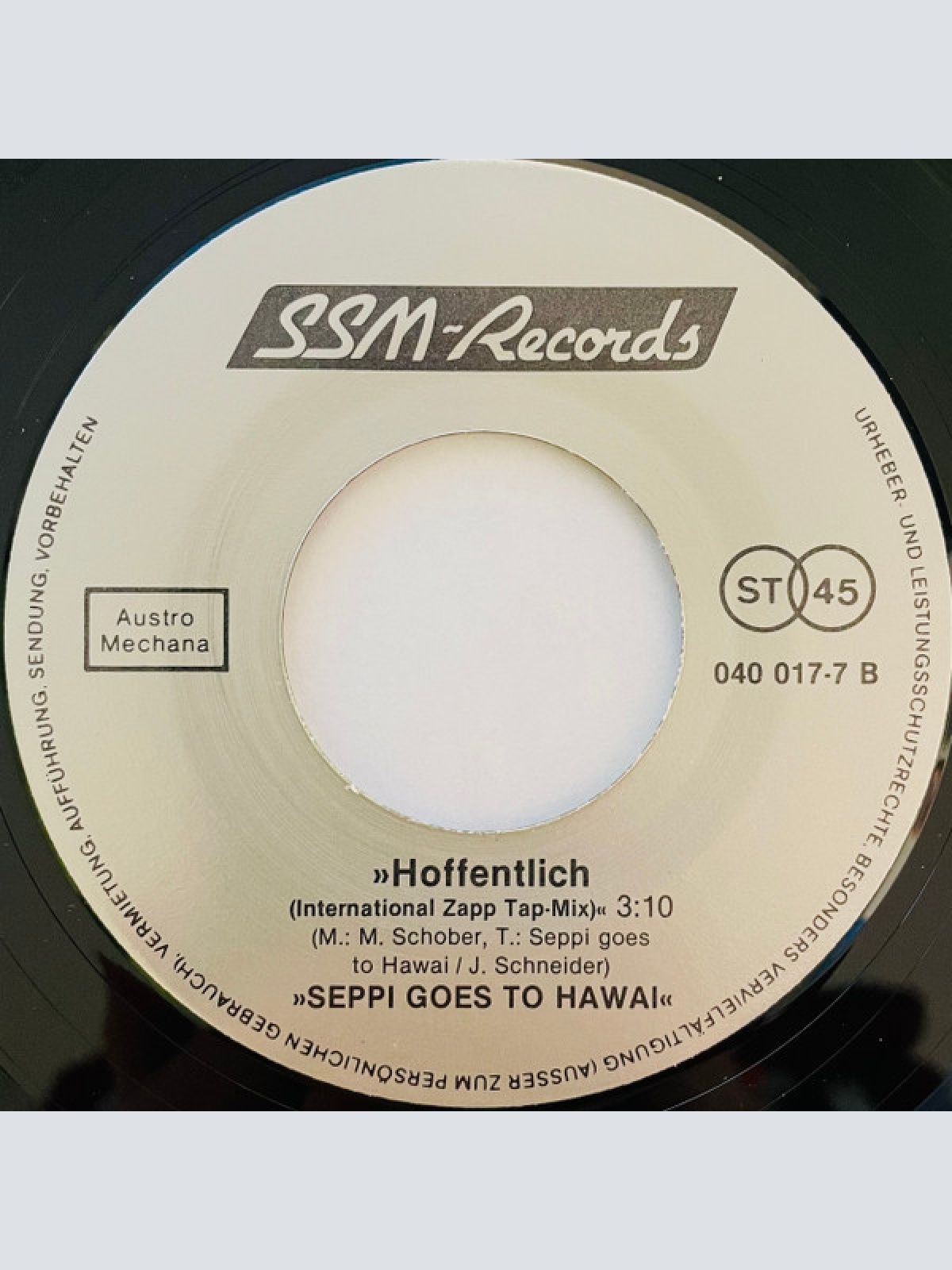 Vinyl / Seppi Goes To Hawai - Hoffentlich