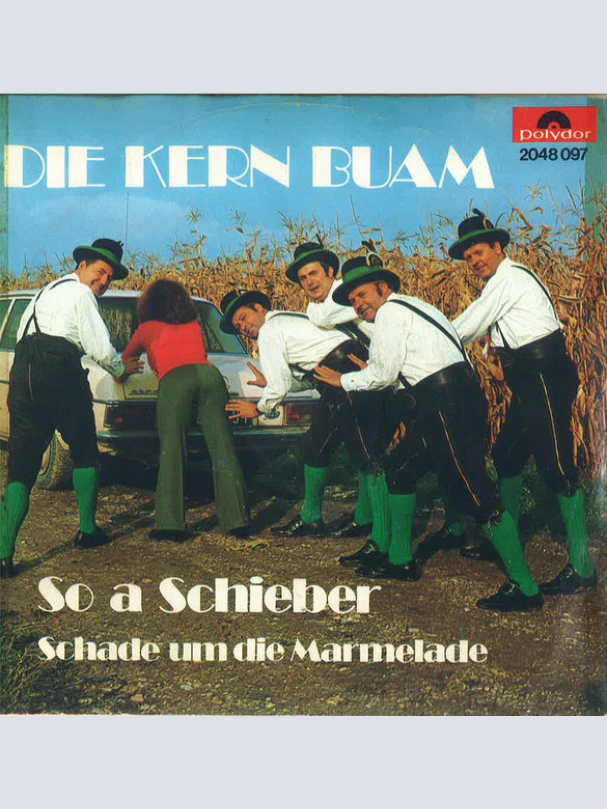 Vinyl / Die Kern Buam - So A Schieber