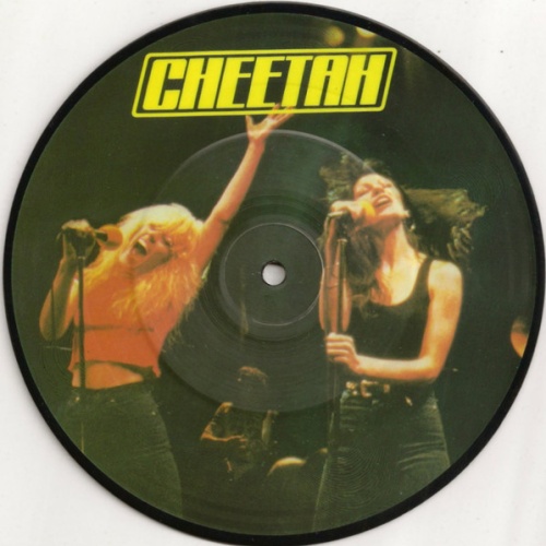 Vinyl / Cheetah (3) - Spend The Night