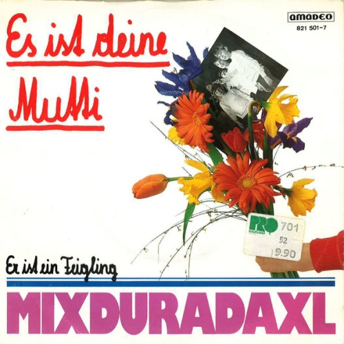 Vinyl / Mixduradaxl - Es Ist Deine Mutti