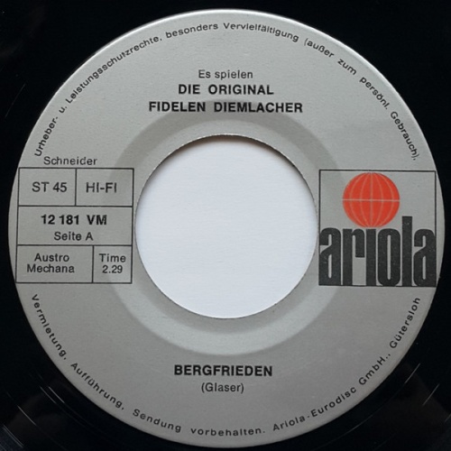 Vinyl / Die Fidelen Diemlacher - Bergfrieden