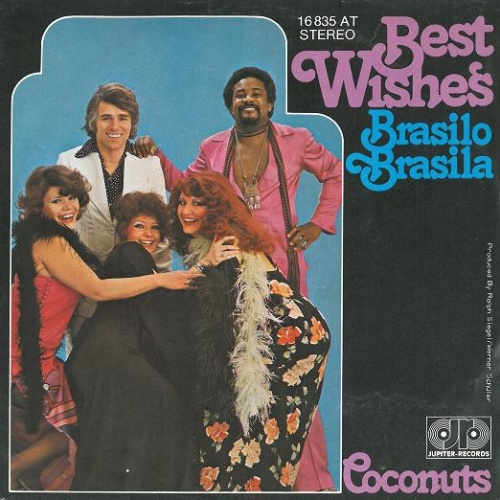 Vinyl / Best Wishe's* - Brasilo Brasila