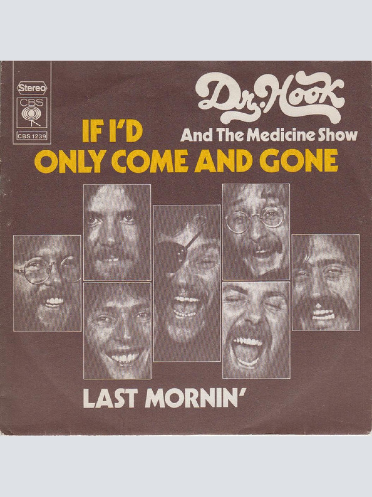 Vinyl / Dr. Hook & The Medicine Show - If I'd Only Come And Gone