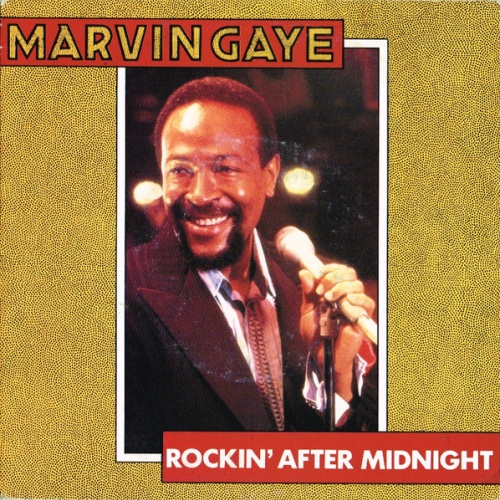 Vinyl / Marvin Gaye - Rockin' After Midnight