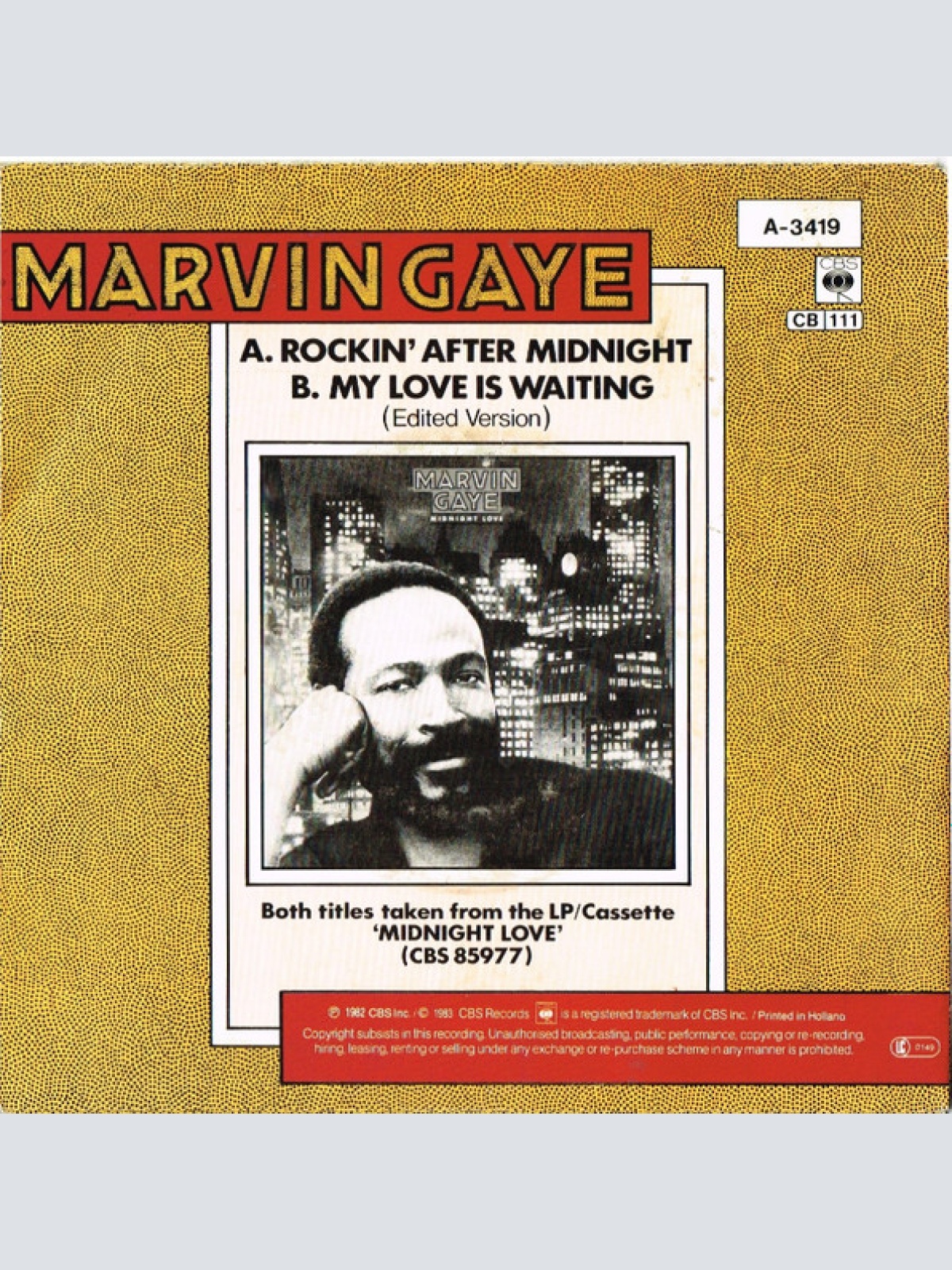 Vinyl / Marvin Gaye - Rockin' After Midnight