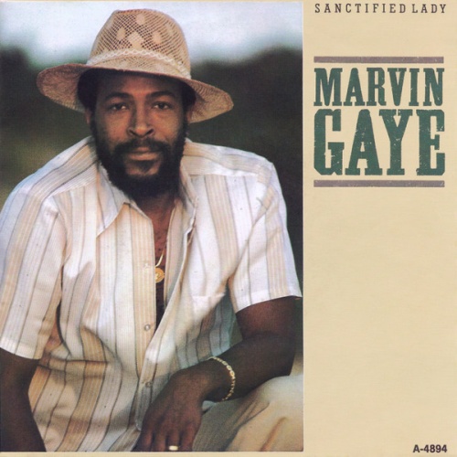 Vinyl / Marvin Gaye - Sanctified Lady