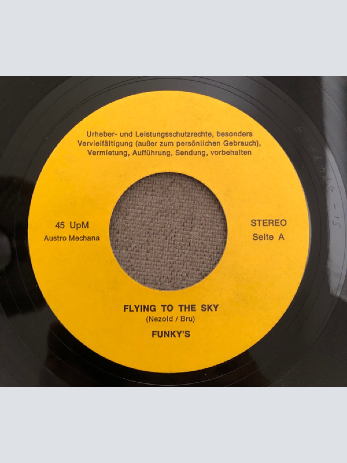 Vinyl / The Funky's - Flying To The Sky / The Looser