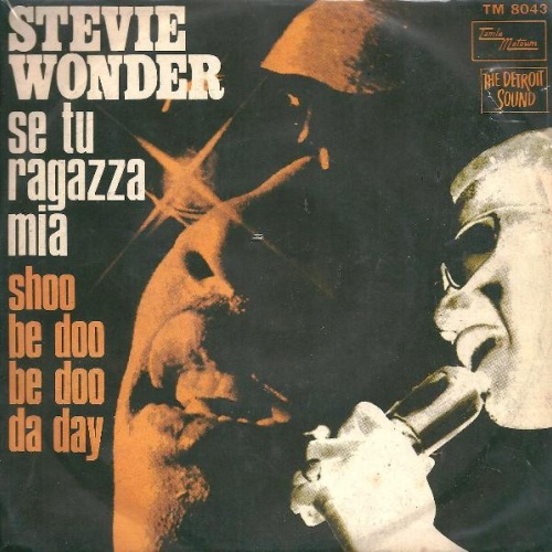 Vinyl / Stevie Wonder - Se Tu Ragazza Mia