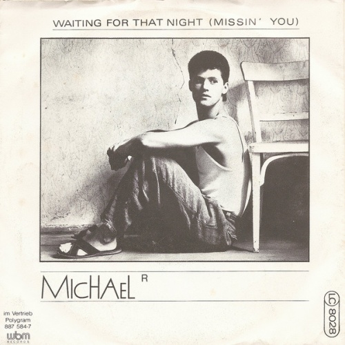 Vinyl / Michael R.* - Waiting For That Night (Missin' You)