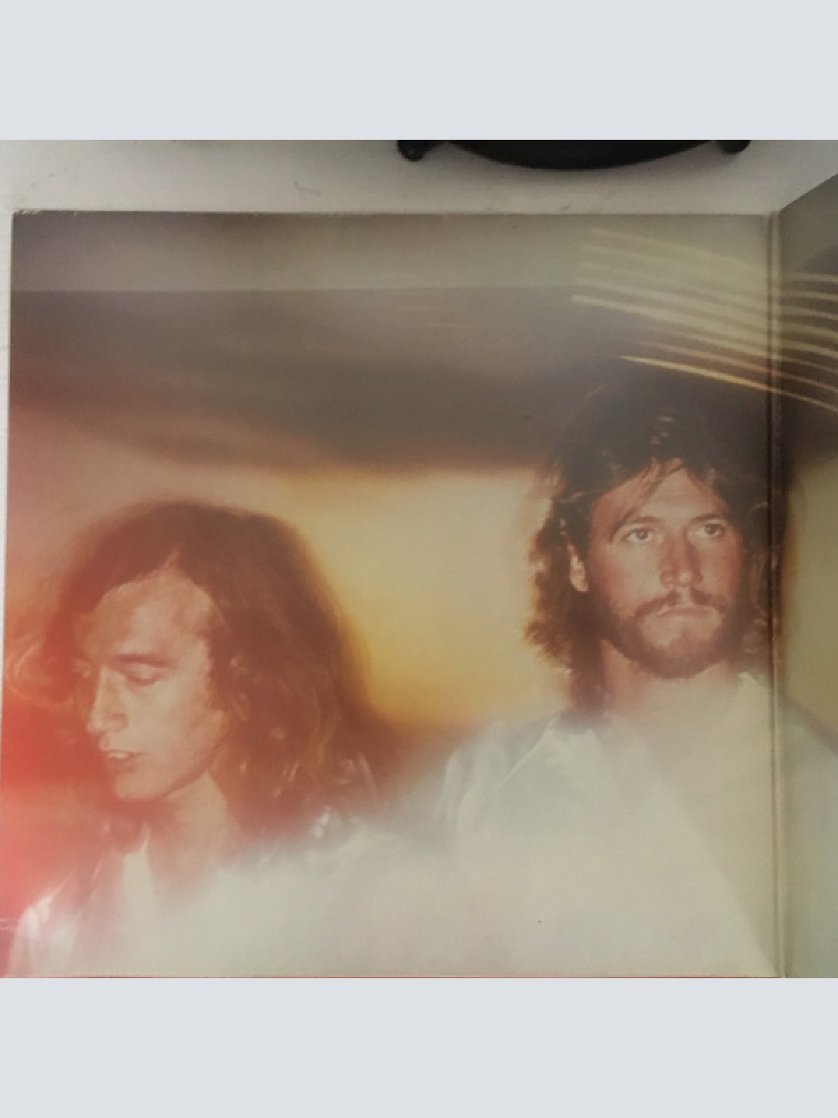 Vinyl / Bee Gees - Spirits Having Flown
