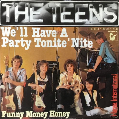 Vinyl / The Teens - We'll Have A Party Tonite 'Nite